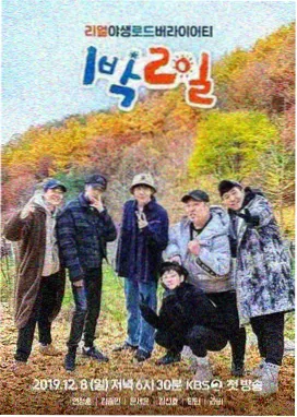 恋爱观察室情感综艺在线观看